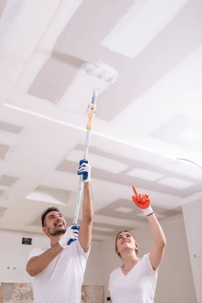 Best Black Mold Removal  in Frederick, OK