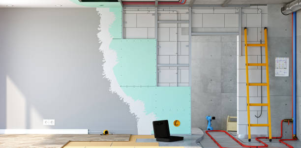 Mold Documentation for Insurance Claims in Frederick, OK