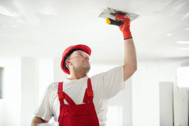 Best Real Estate Mold Inspection  in Frederick, OK
