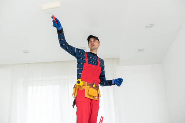 Best Commercial Mold Inspection  in Frederick, OK