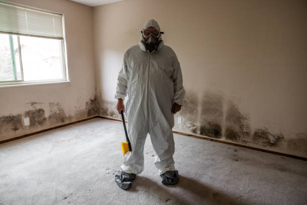 Best Air Quality Testing for Mold Spores  in Frederick, OK